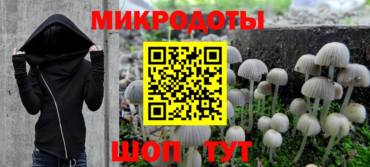 Галлюциногенные грибы Magic Shrooms Россошь