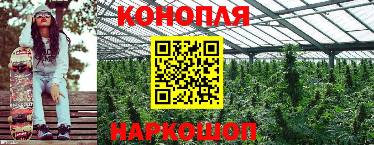 Канабис гибрид Россошь